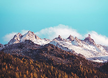 开云官网首页-用汗水浇灌梦想 用坚守诠释担当 胡金秋为国征战力拼到底