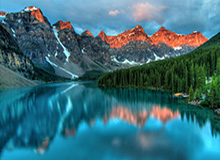 开云官网首页-用汗水浇灌梦想 用坚守诠释担当 胡金秋为国征战力拼到底